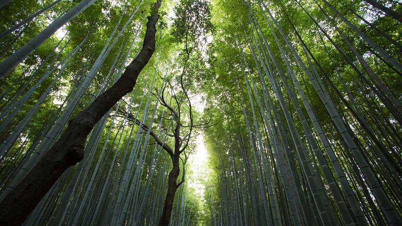 糖果派对游戏安全保障